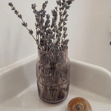 Hébergement de vacances A Casa Do Porto *