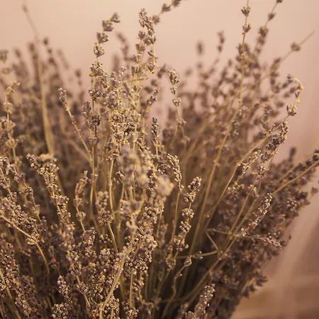 A Casa Do Porto Hébergement de vacances *